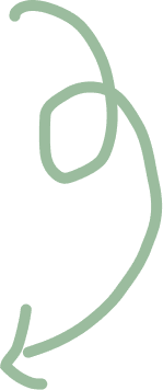 timeline connector